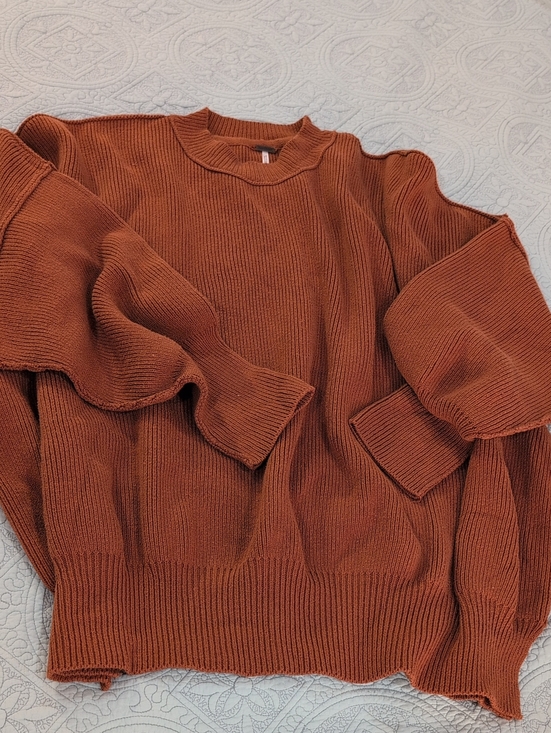 Free People Sweaters - Free People Crewneck Sweater in Rust Orange